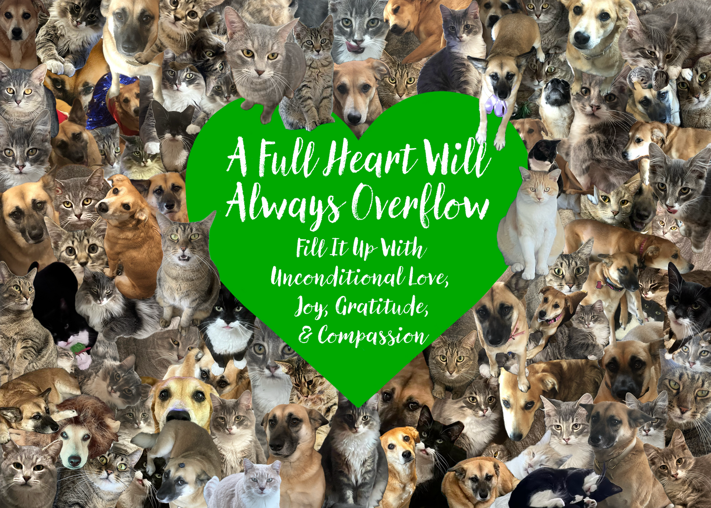 A Full Heart Will Always Overflow – 1000-Piece Jigsaw Puzzle for Adults | Cats & Dogs, Love, Joy & Gratitude